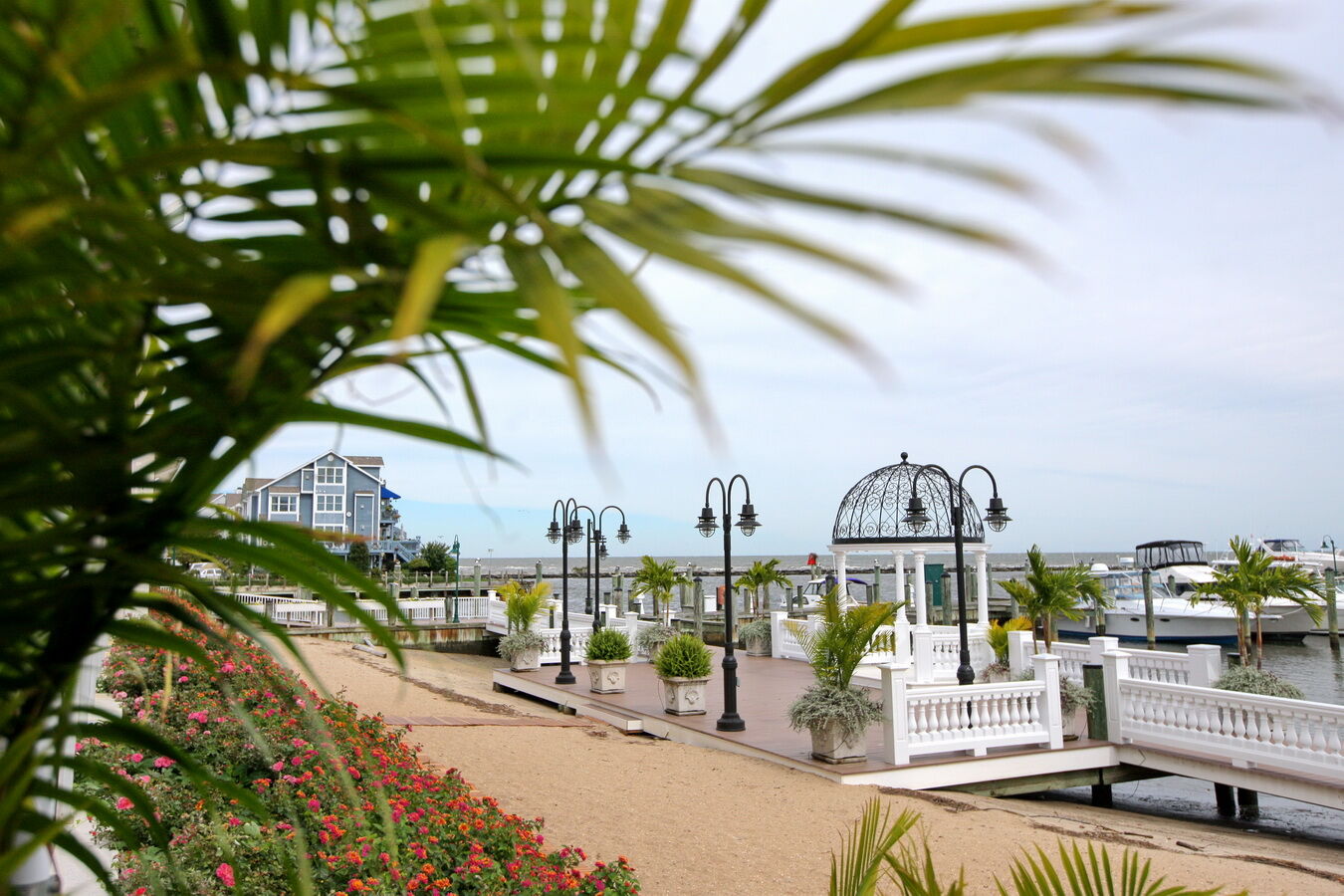 Rod 'N' Reel Resort Chesapeake Beach Εξωτερικό φωτογραφία
